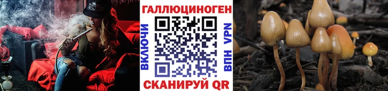 где купить наркоту  Отрадный  ОМГ ОМГ ССЫЛКА  Галлюциногенные грибы Psilocybe 