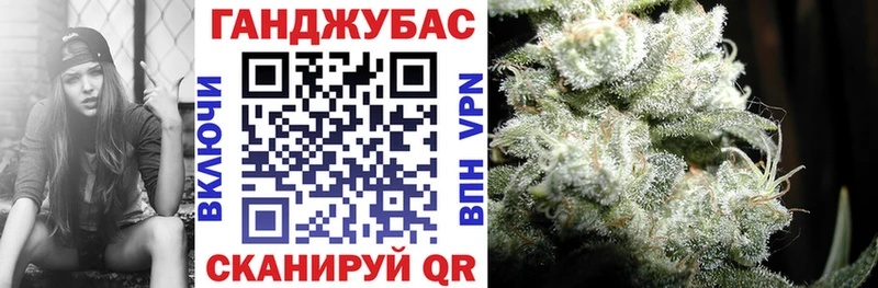 Канабис сатива  купить наркотики цена  Отрадный 